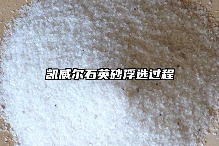 生產廠家好色先生TVAPP砂浮選過程